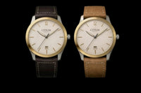 Tempus view 2