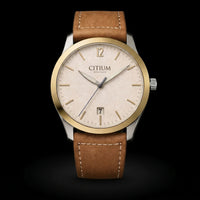 Tempus view 3