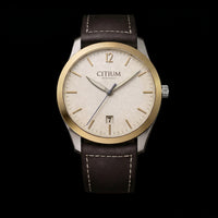 Tempus view 1